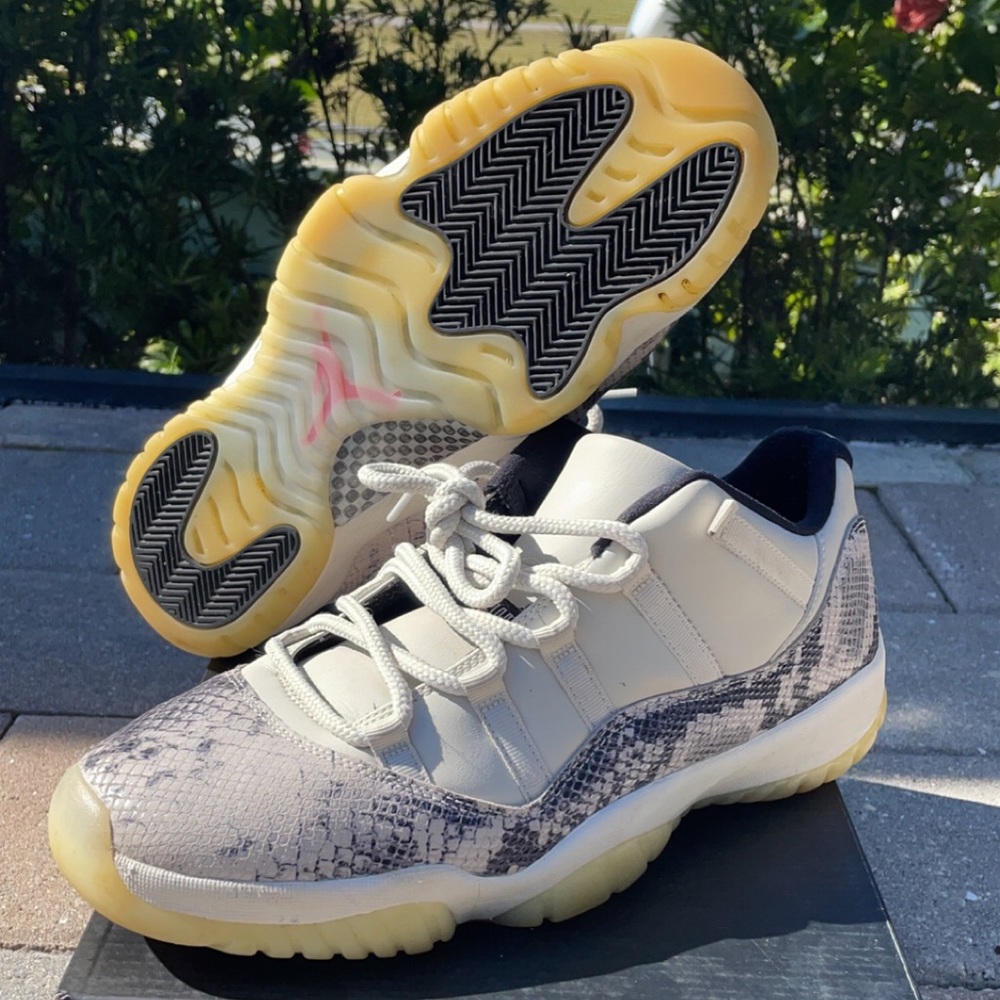 Jordan 11 snake skins